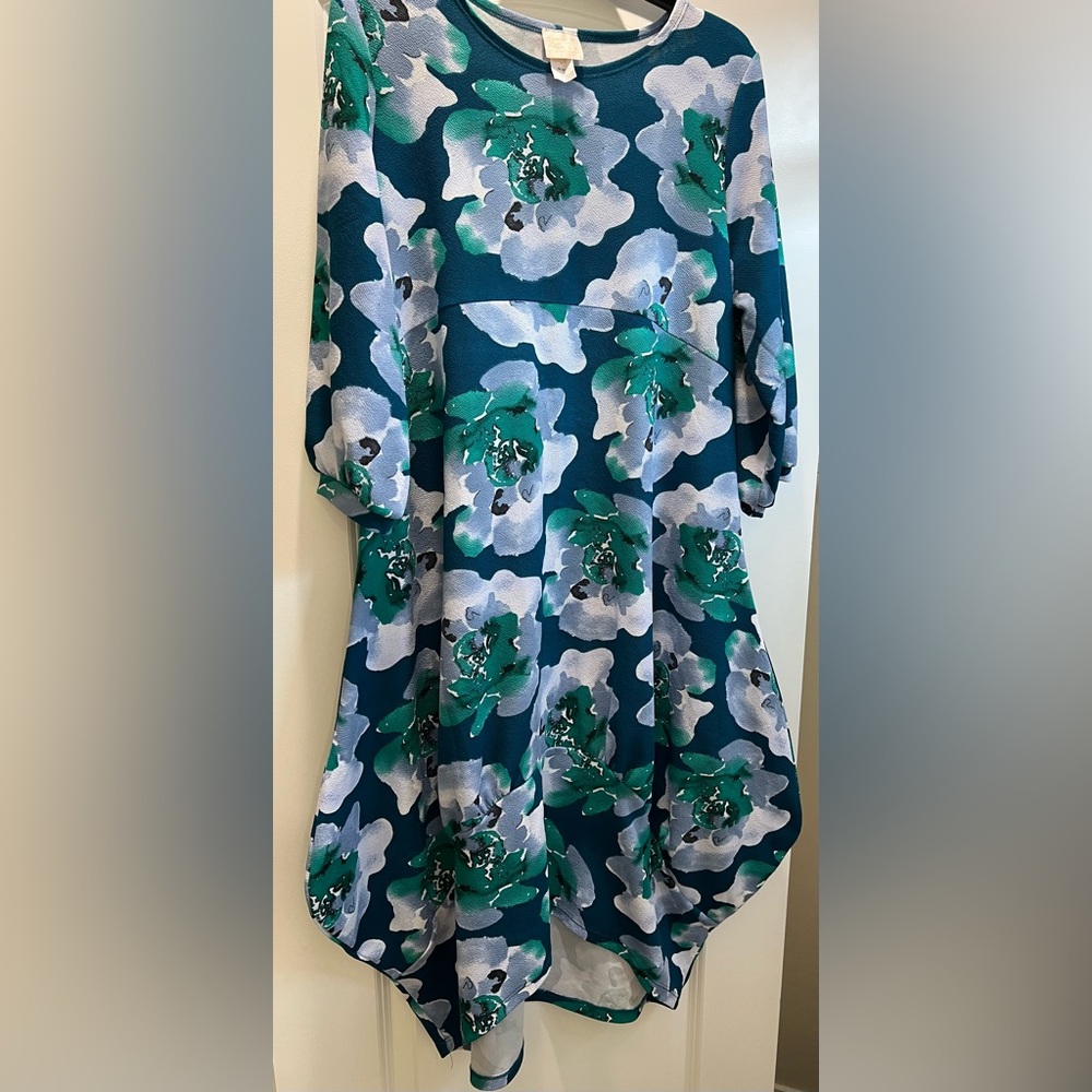Zadie bs Callie bubble dress. Blue and green floral